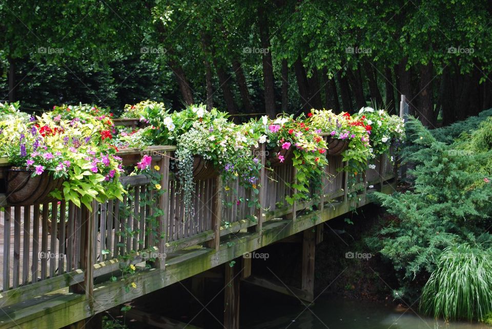 Bridge over stream