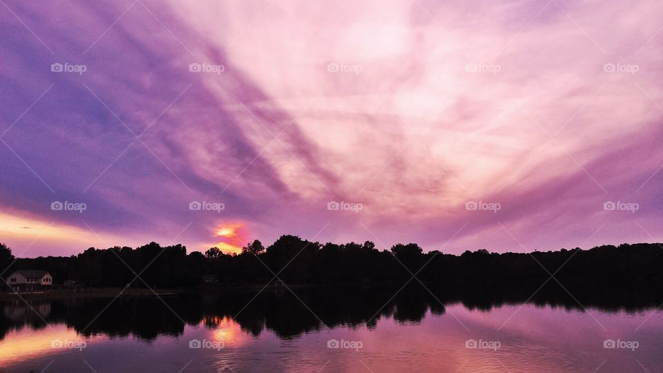 Silhouette of trees reflection on lake