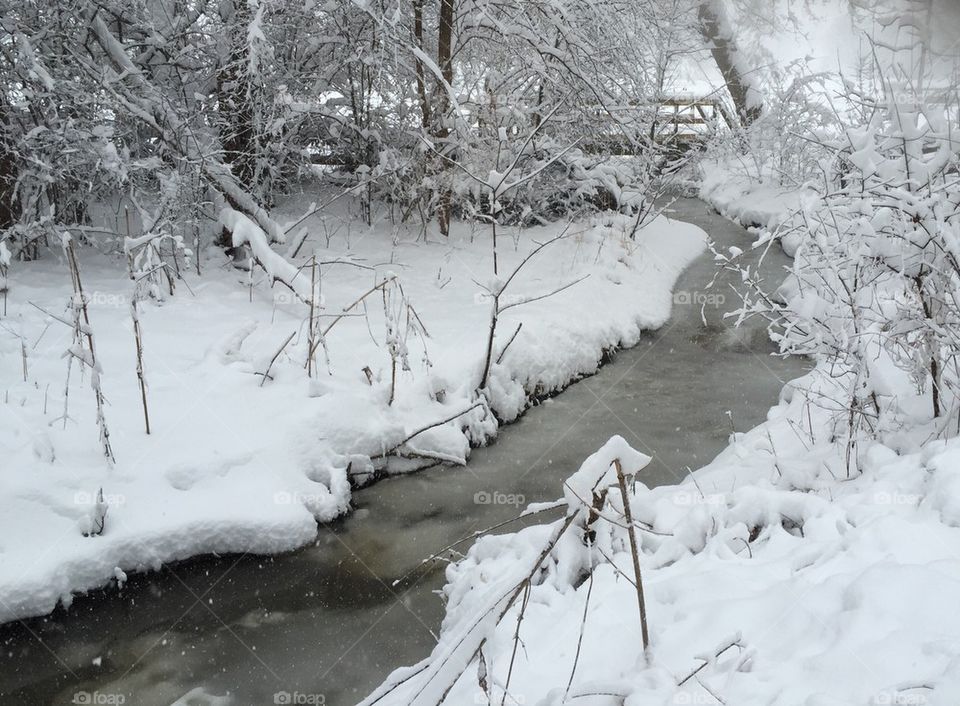 Winter along the creek.