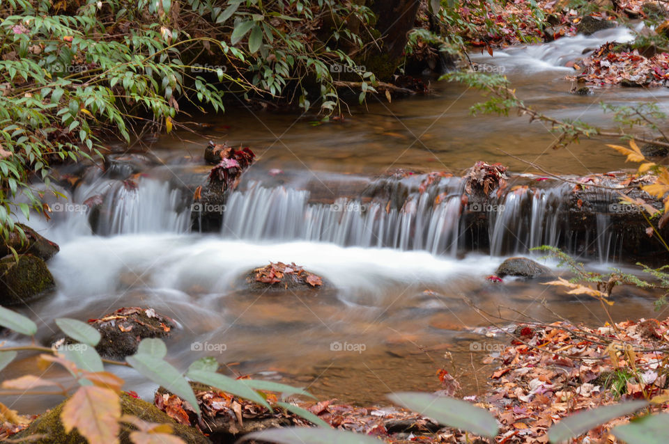 Mills River. Mills River in North Carolina.