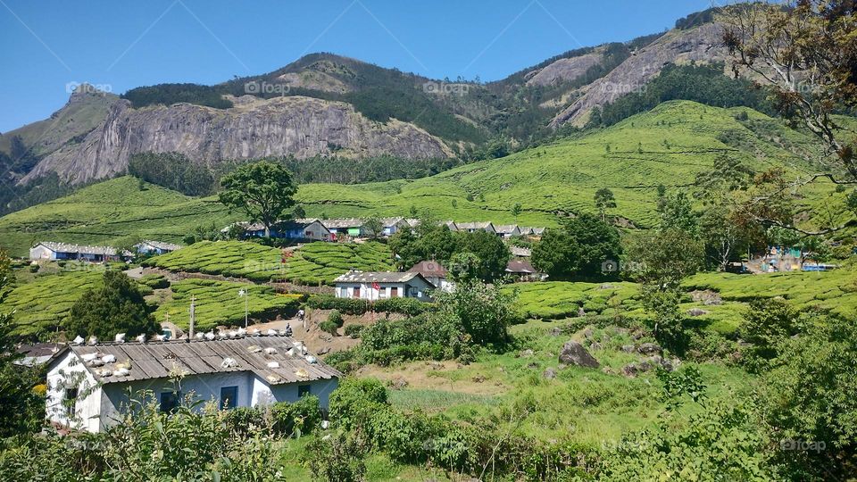 A walk in nature walks the soul back home.” – ...