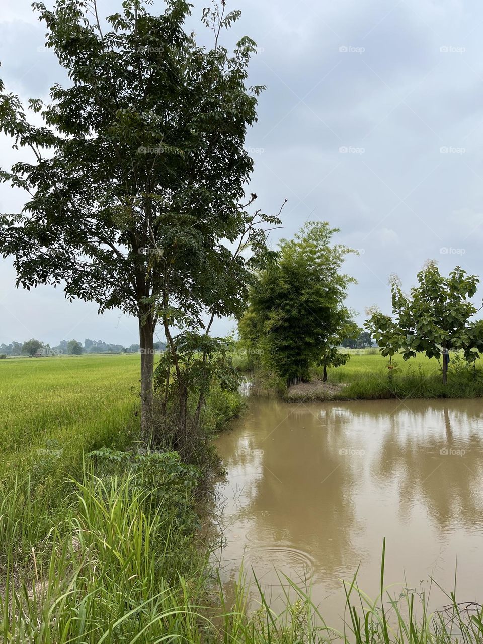 Photo of the Month, Countryside @ Thailand.