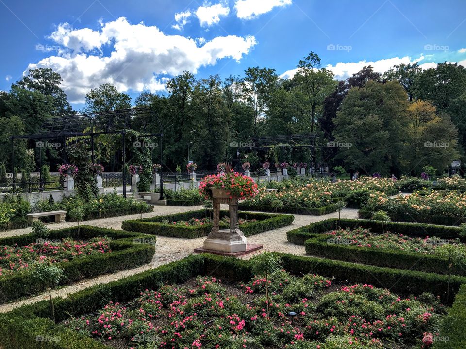 Garden in the Warsaw Wilanów 