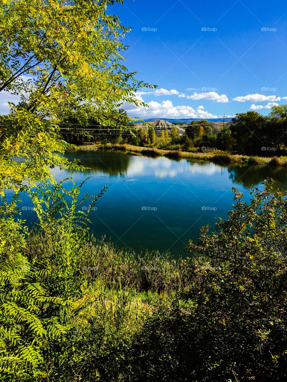 Scenic view of lake