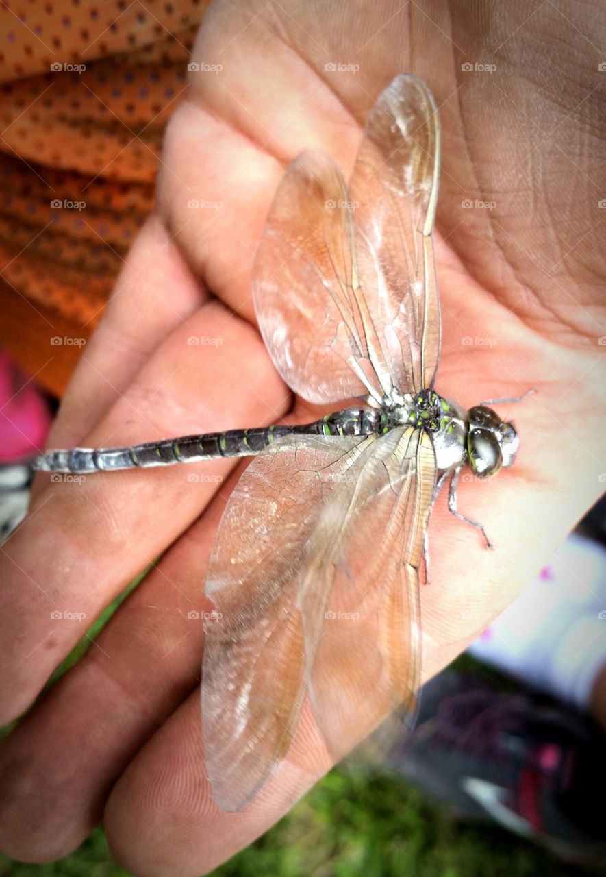 caught in granite dust