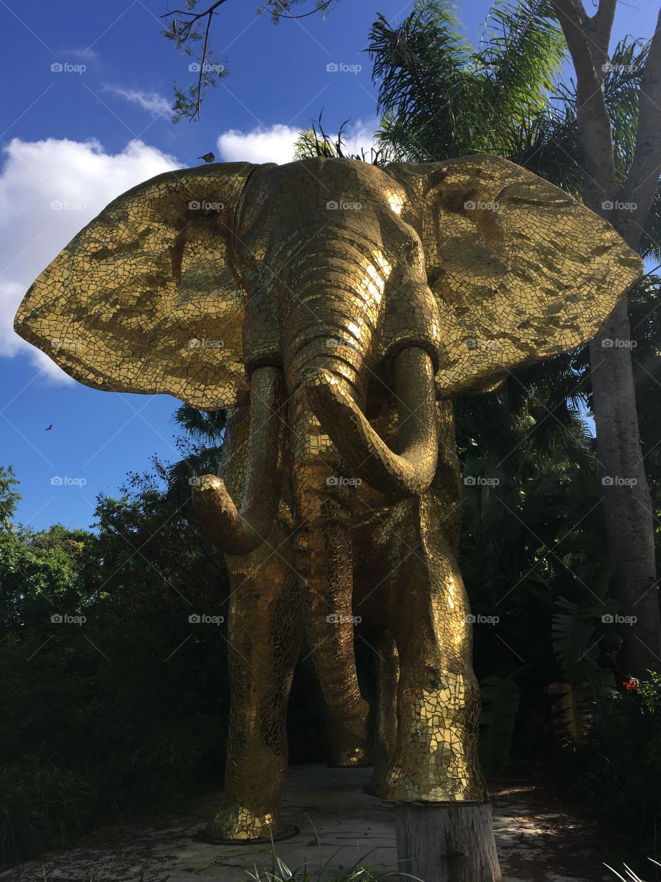 Majestic golden elephant statue from Miami Zoo