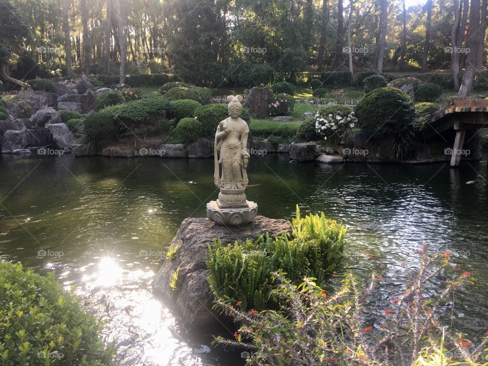 Japanese garden / Jardín Japonés 