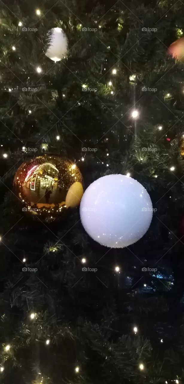 Tannenbaum