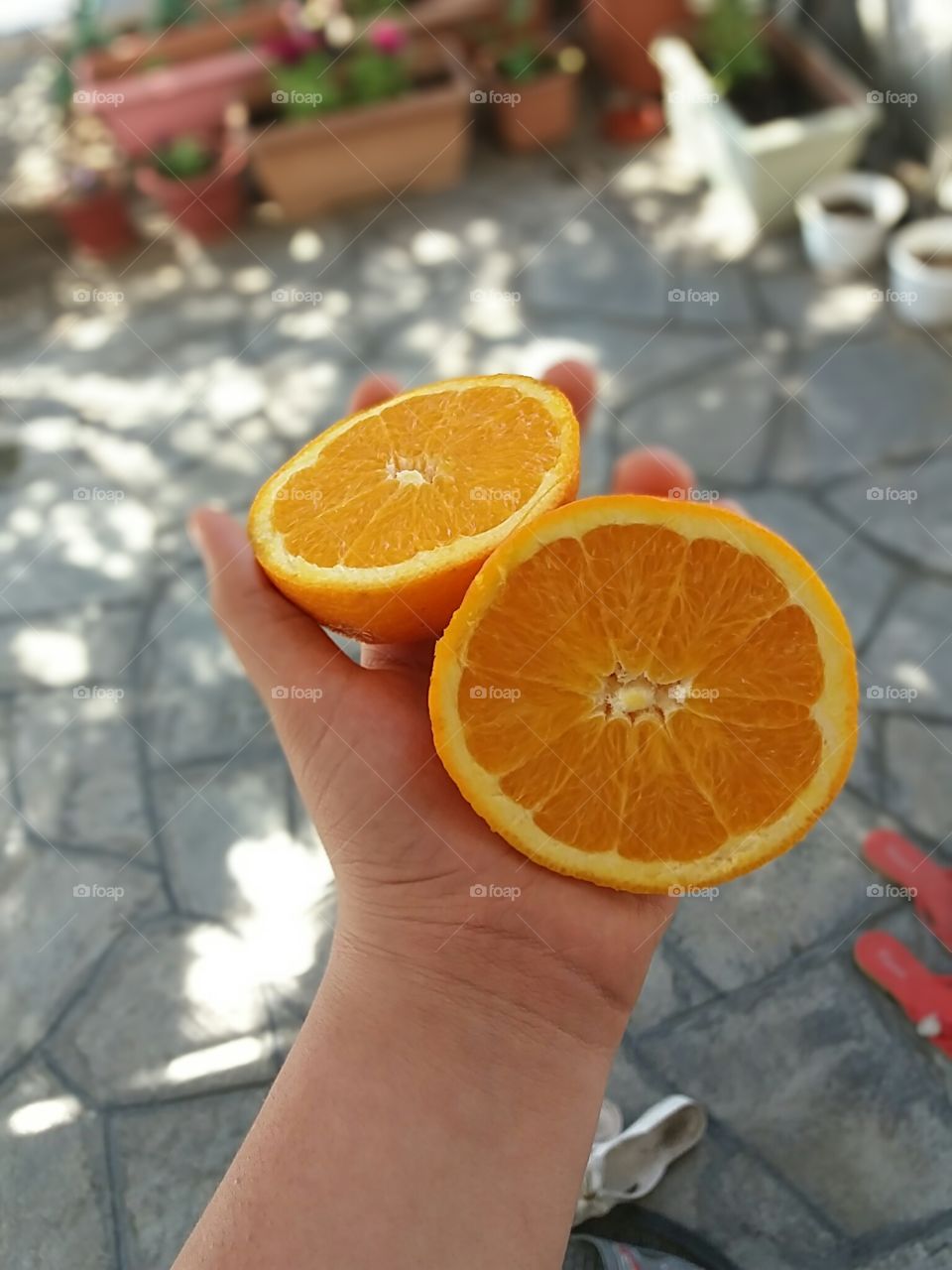 Natural Fruit
