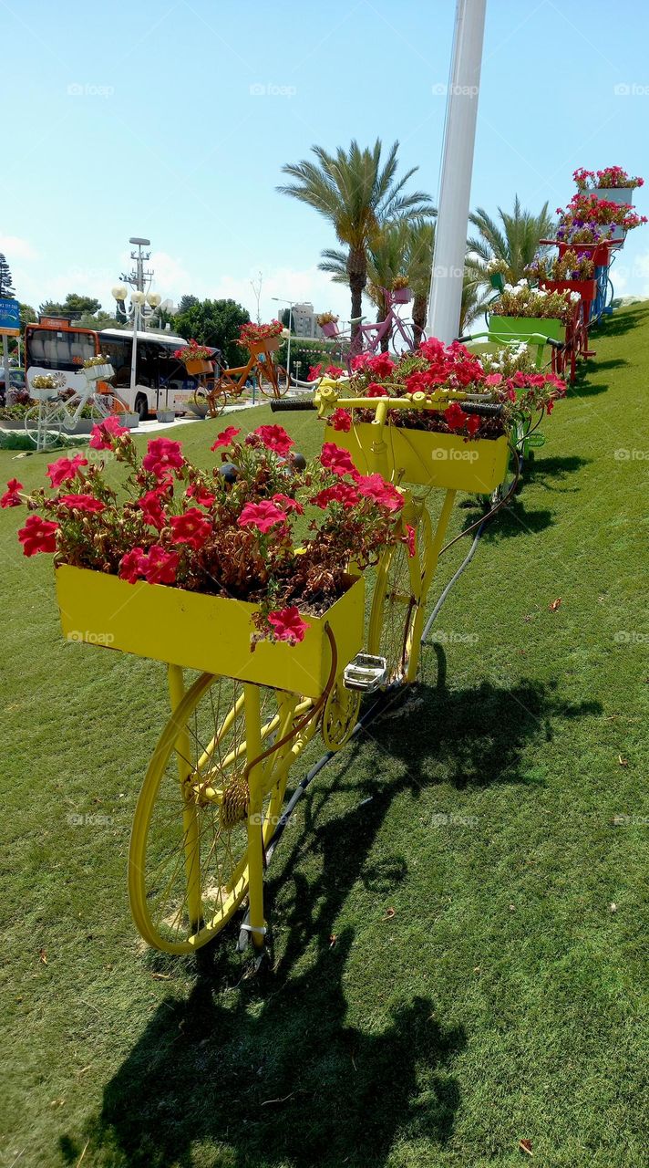 bicycles and flowers