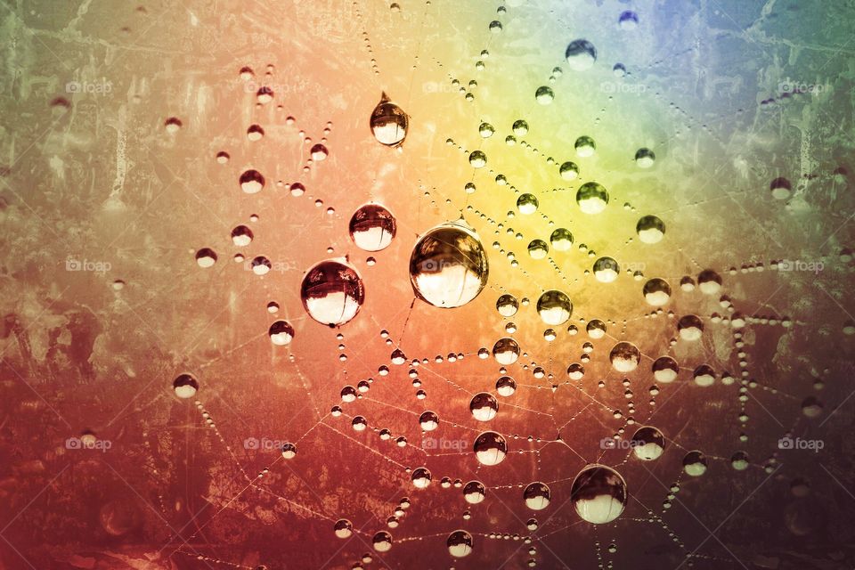 Beads of water on a colourful, rainbow background.