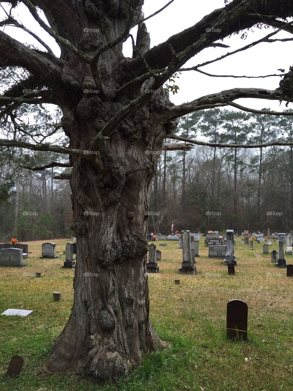 120  years and counting