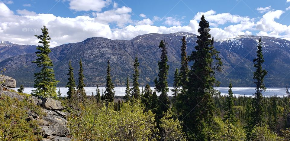 Treeline sneak peaks