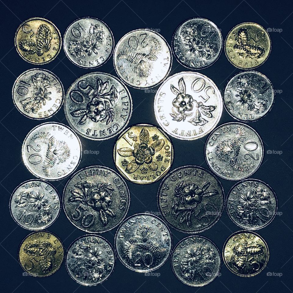 SINGAPORE coins (dollar and cents)