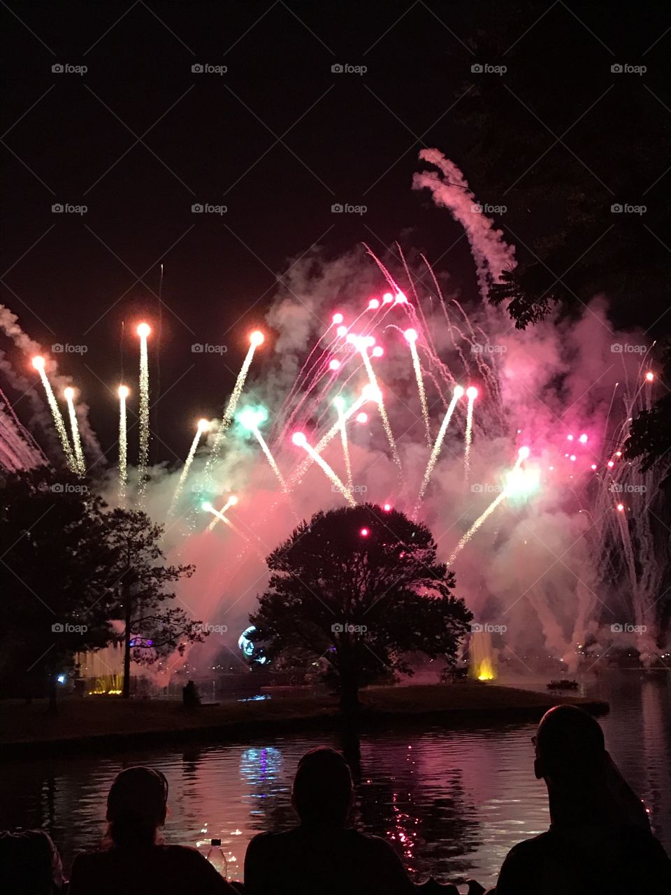 Disney fireworks at Epcot