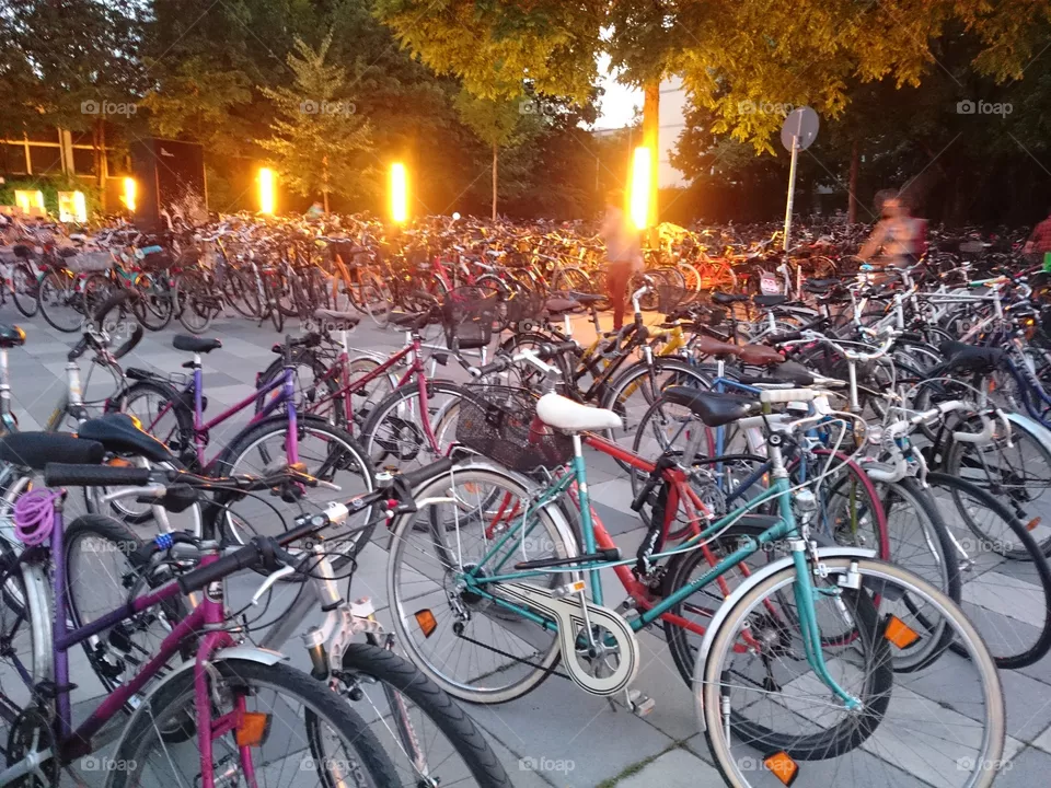 Bikes
