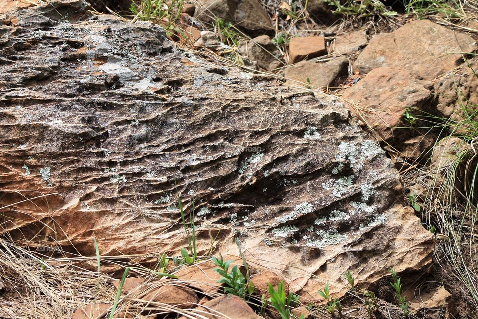An interesting criss cross pattern formed by years of weathering, exposing the layered formation by the harder layers of rock strata.