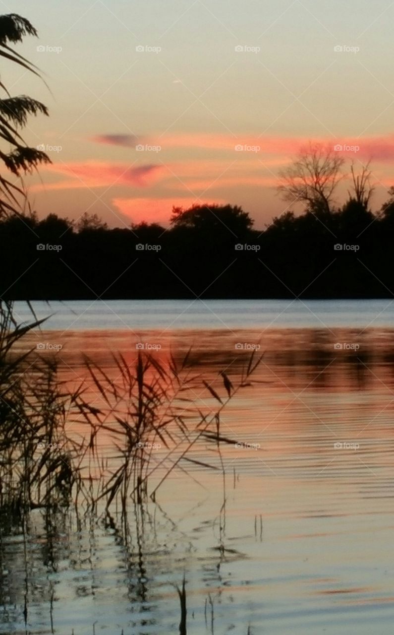 lake sunset with reeds