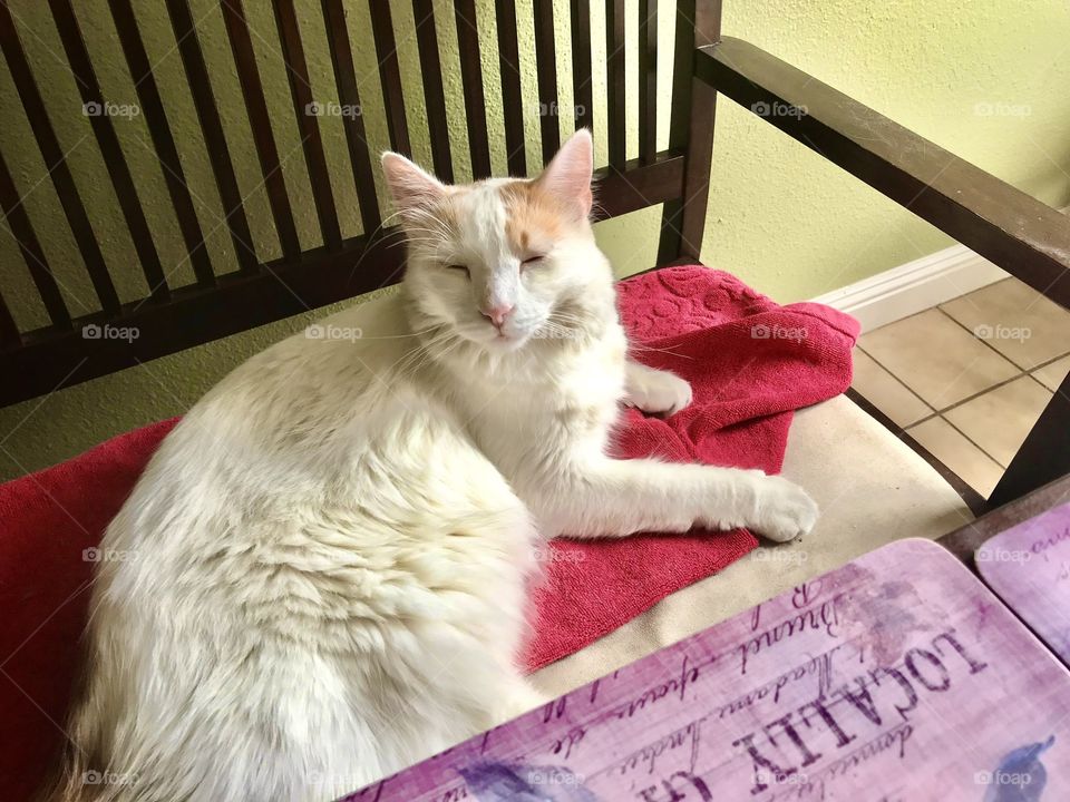 Comfy spot on the bench