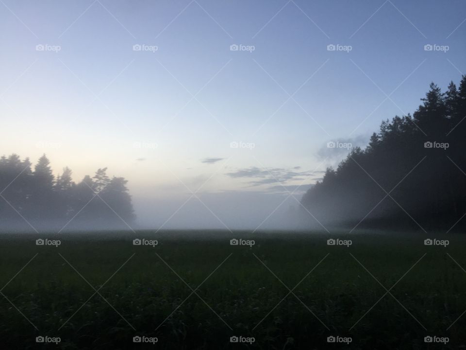 Foggy landscape 