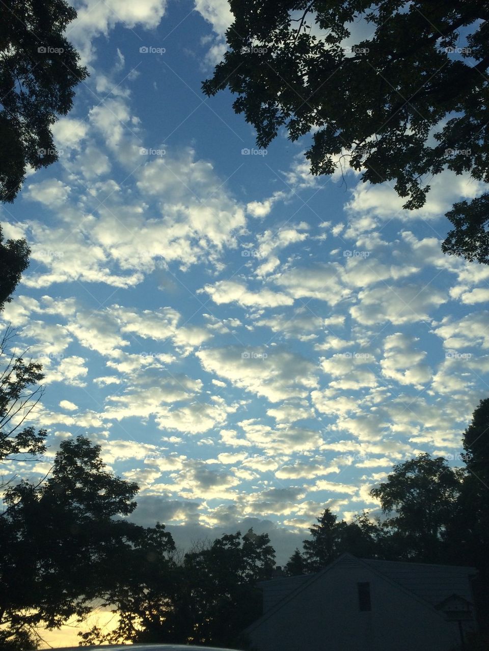 Beautiful Morning Clouds