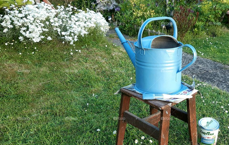 Painting a old watering can which was leaking and is now ready for planting up in the garden