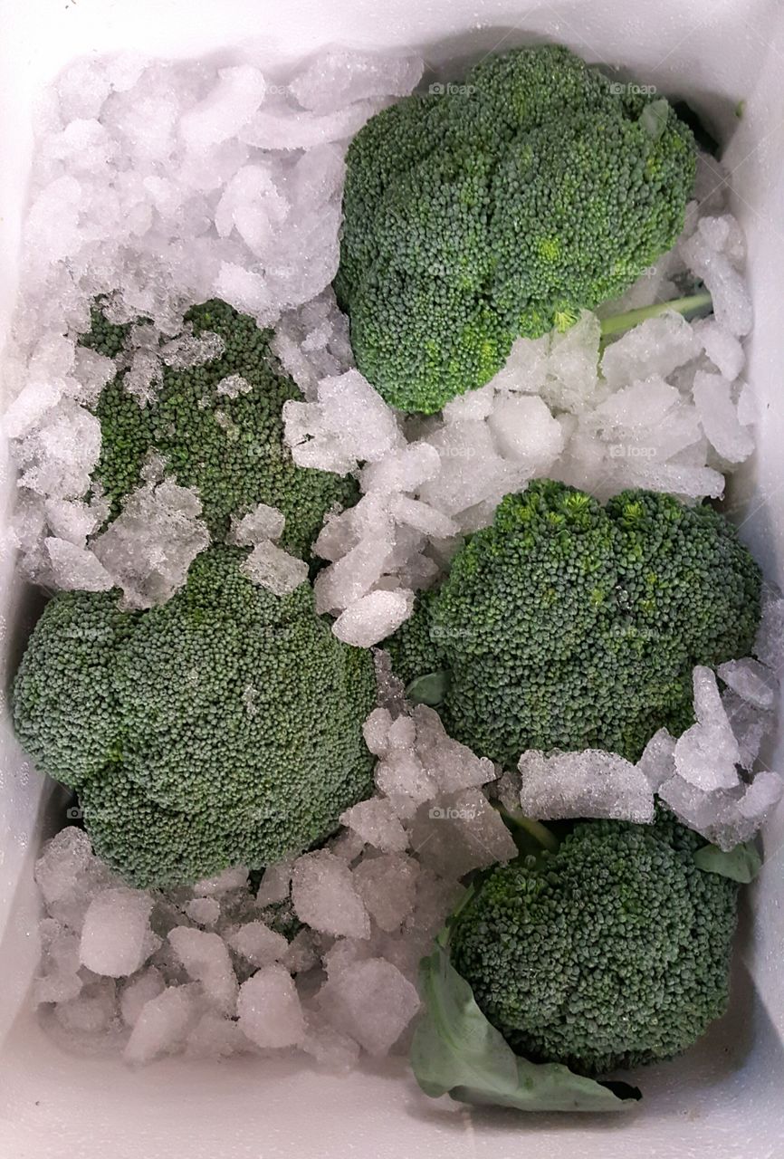 Fresh broccoli in box with ice