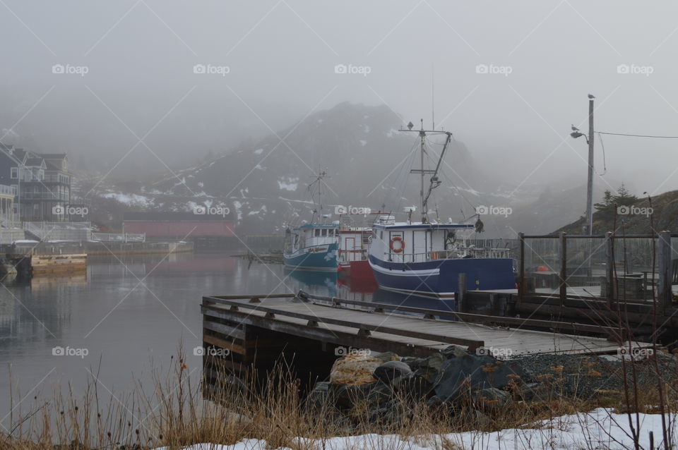 Foggy Morning in Brigus, Newfoundland