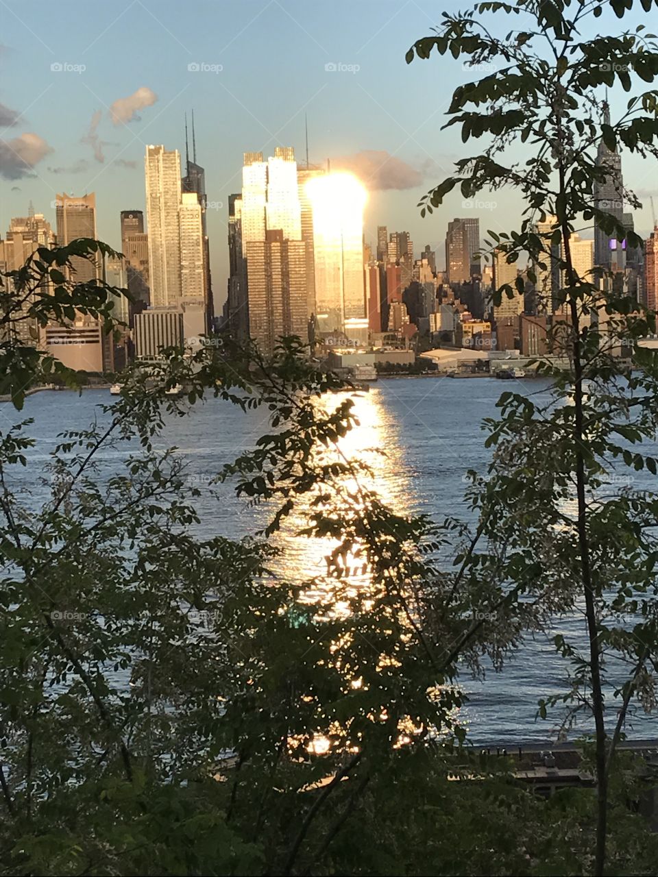 Water, Tree, Reflection, No Person, Travel