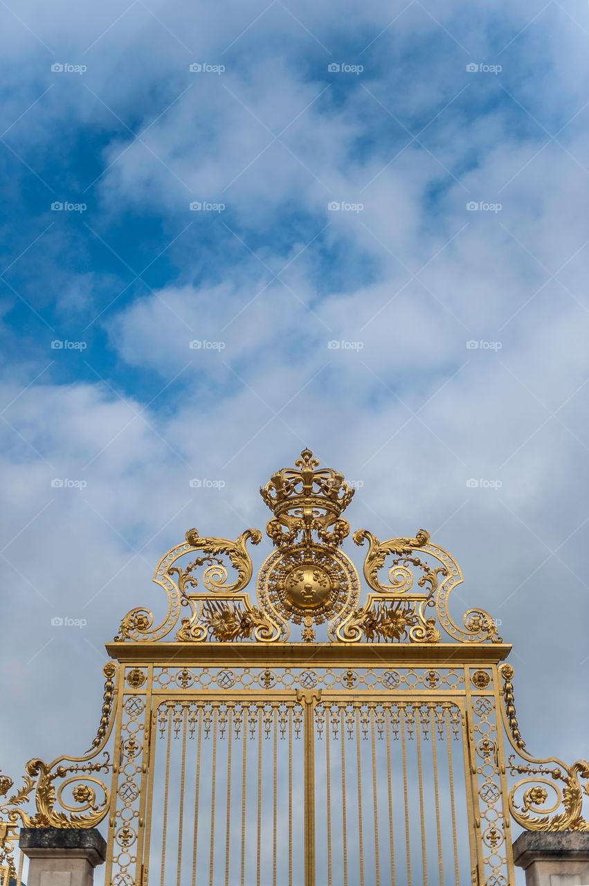 Door of the Palace of Versailles 