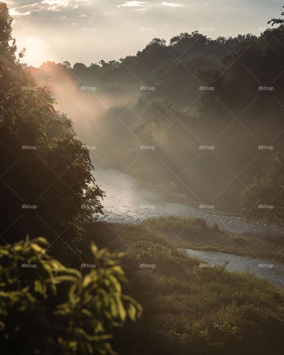 Sun beams peek through the trees as the sun sets on this lazy river 