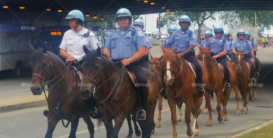 chicago police