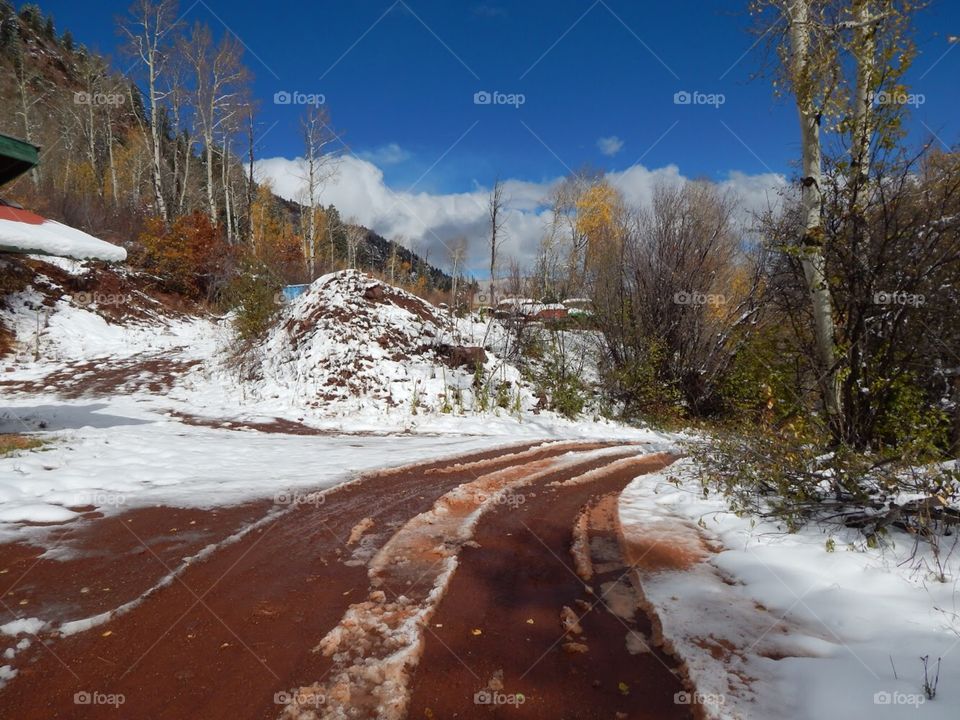 snow in fall or autumn with road