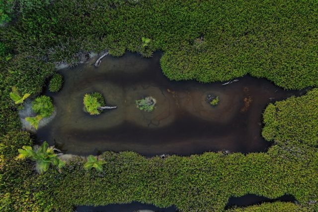Green lake 