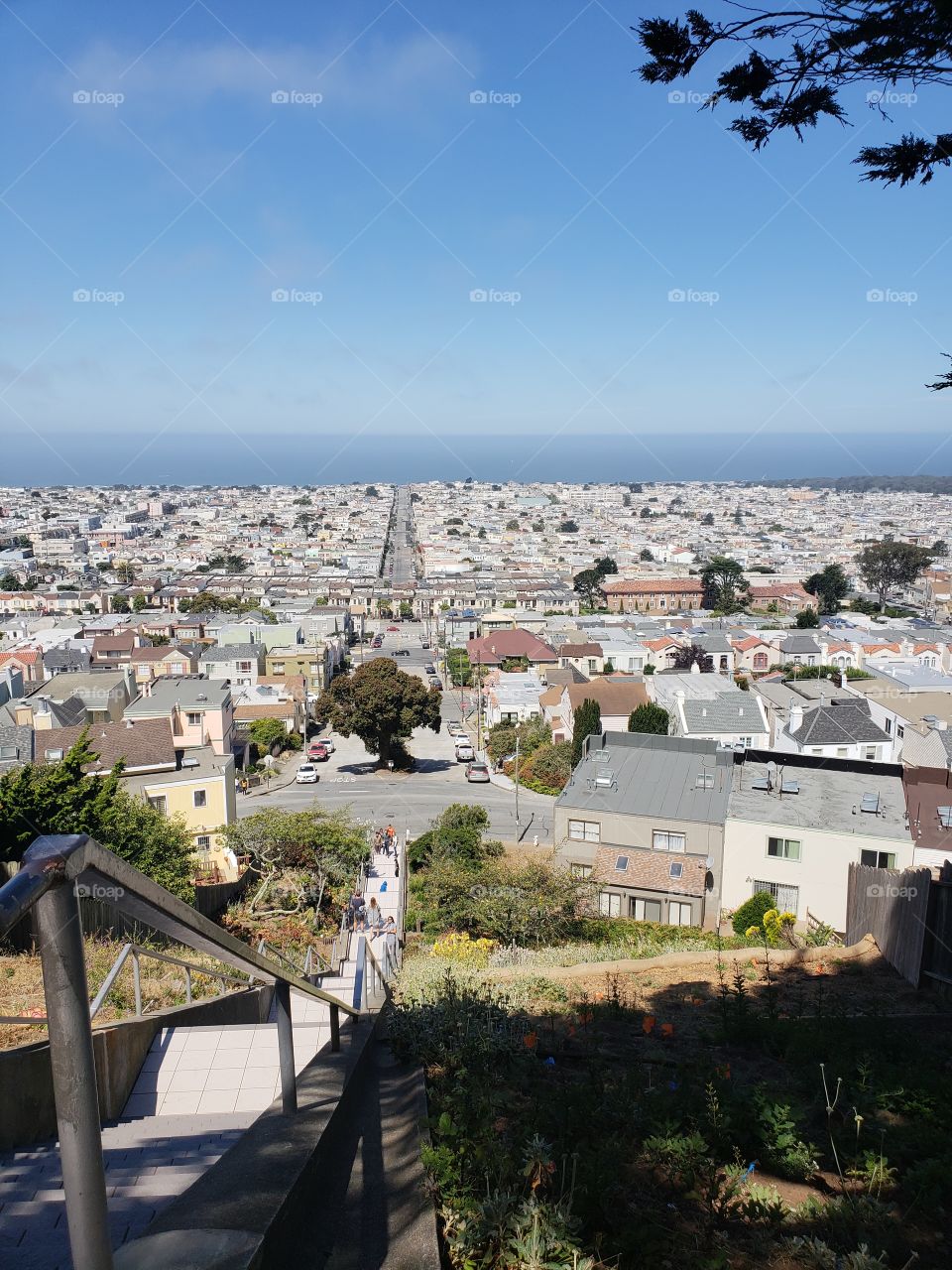 Sunny San Francisco neighborhood near painted stairs looking toward the blue San Francisco bay.