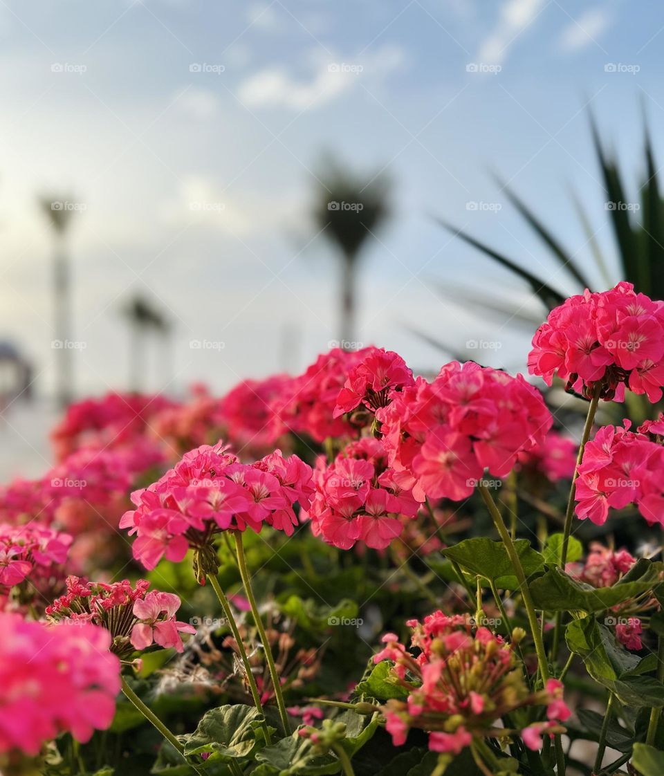 Pleasing to the eyes. 