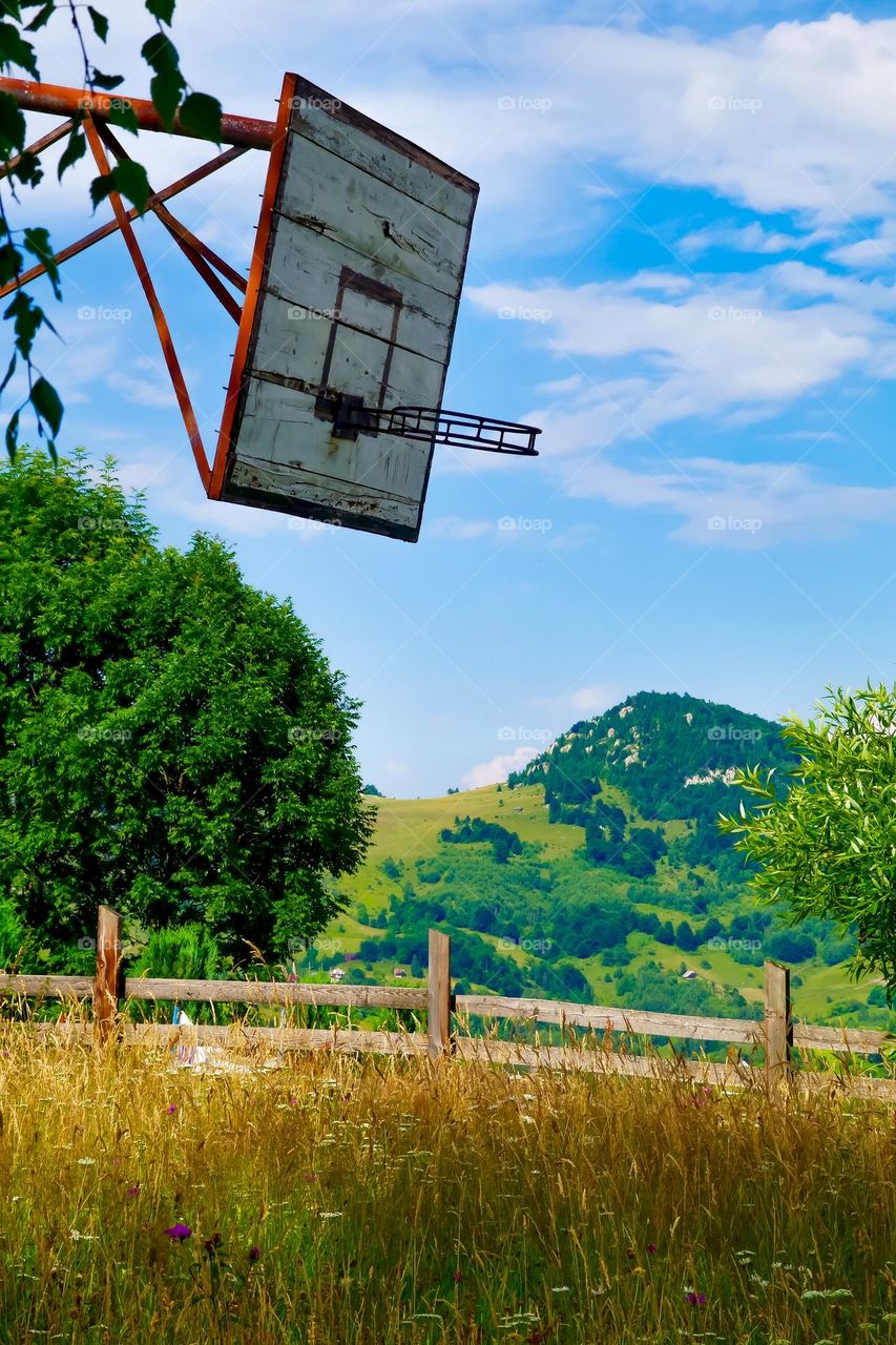 Play Basketball in a high grown meadow 