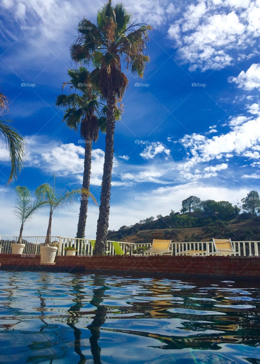 Pool Life. Pool Sunday's in Hollywood, Los Angeles, California , view to Runyon Canyon