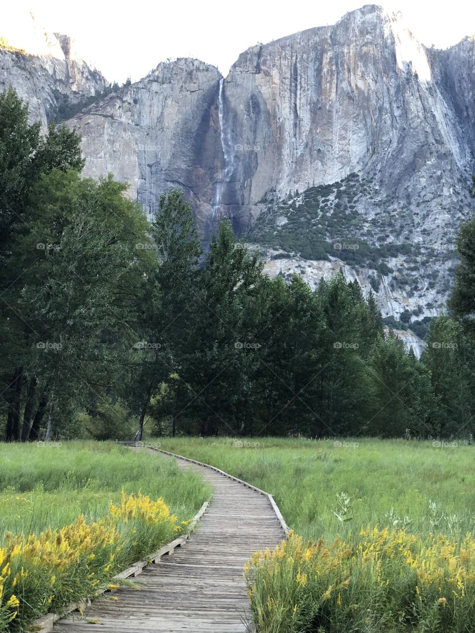 Meadow and water fall in Yosemite