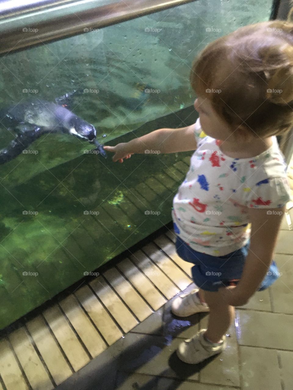 This holiday, taking the children to visit the Municipal Aquarium is a good ride.  My daughter even played with a penguin. / Neste feriado, levar as crianças para visitar o Aquário Municipal é um bom passeio. Minha filha brincou até com um pinguim.