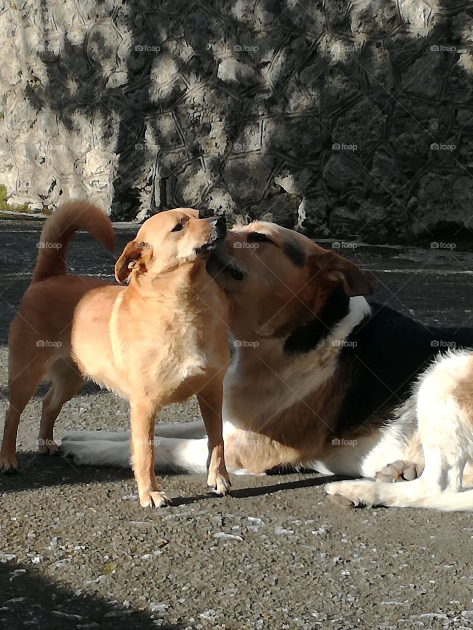 Tenderness and respect. Humans have something to learn