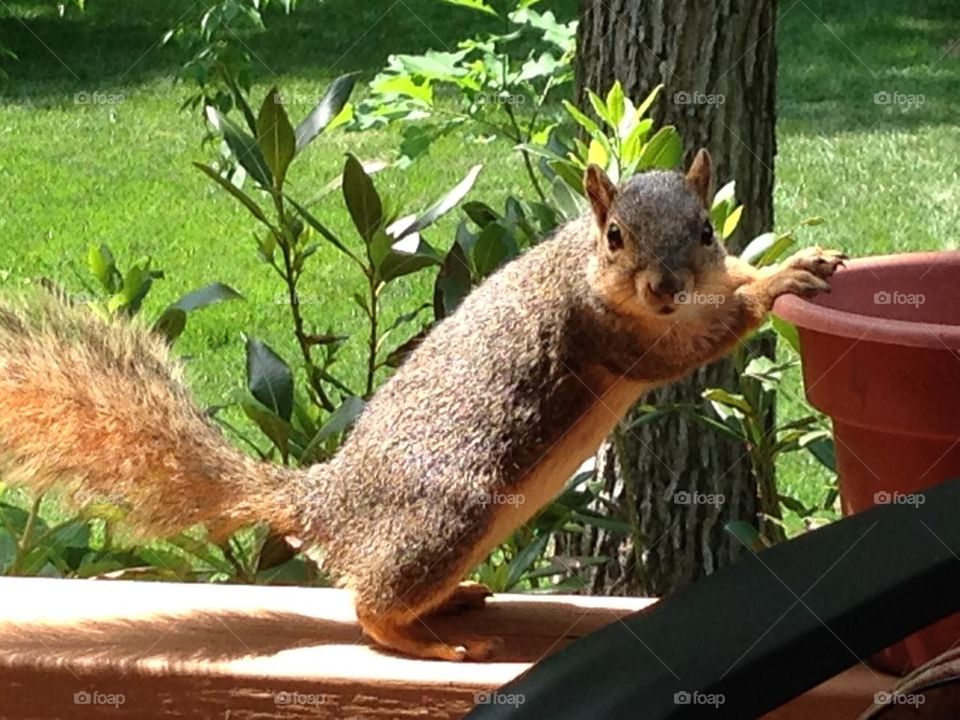 Thinking About Digging in this Pot