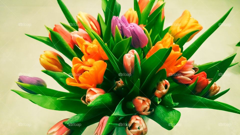 bouqets of tulips. beautiful flower bouqet