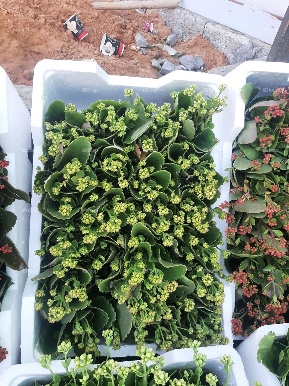 Please make me happy, I am poor, I need your help with support