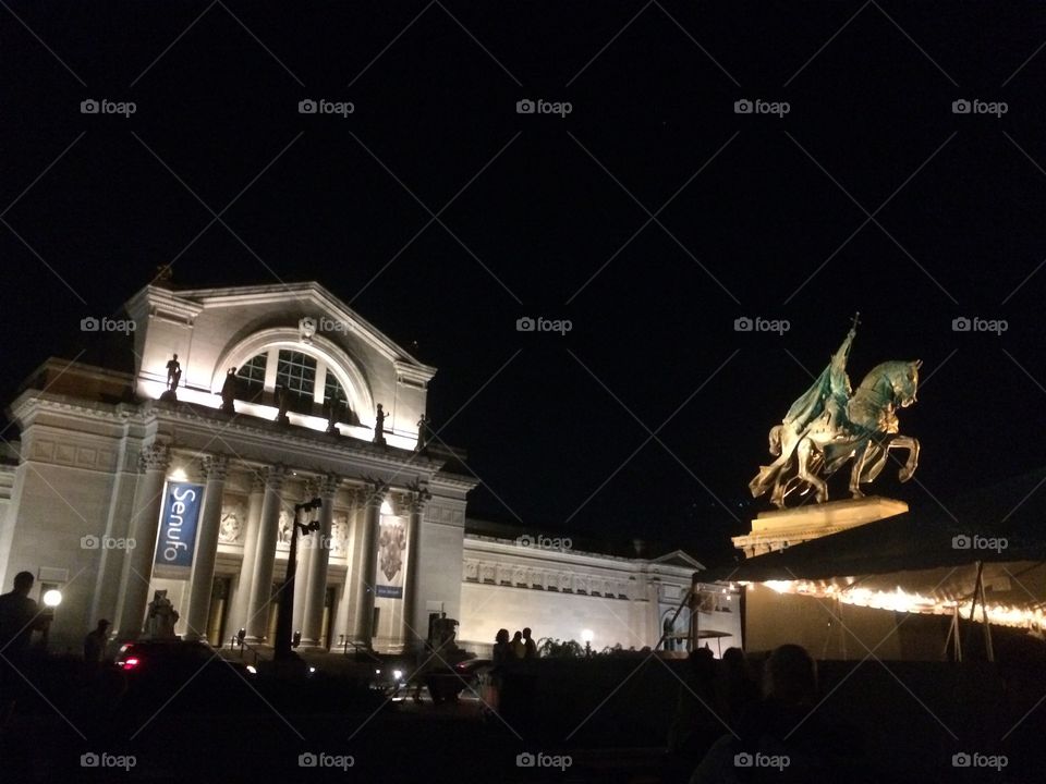 Art museum and St. Louis 
