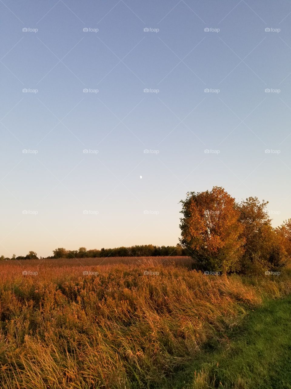 Beautiful fall scene