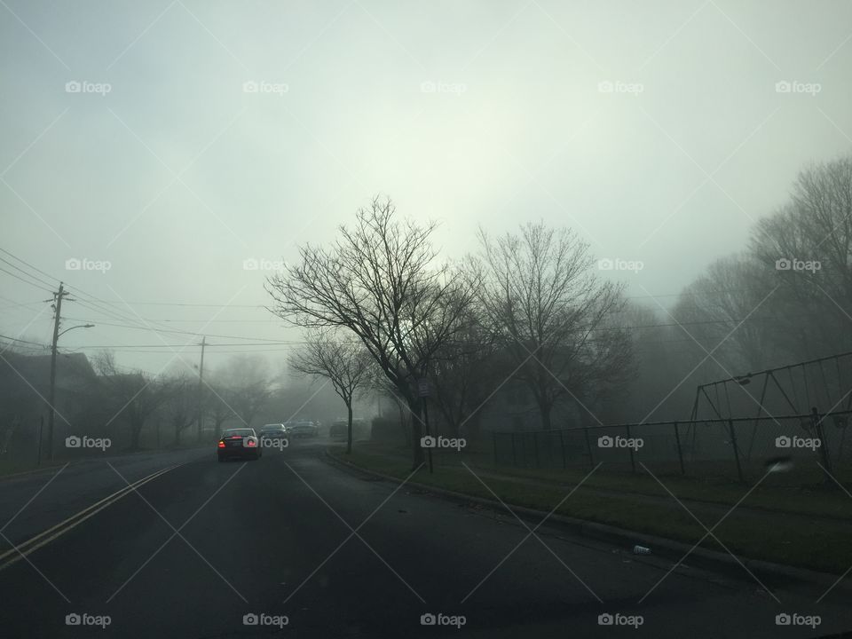 Foggy Morning on the Way to School