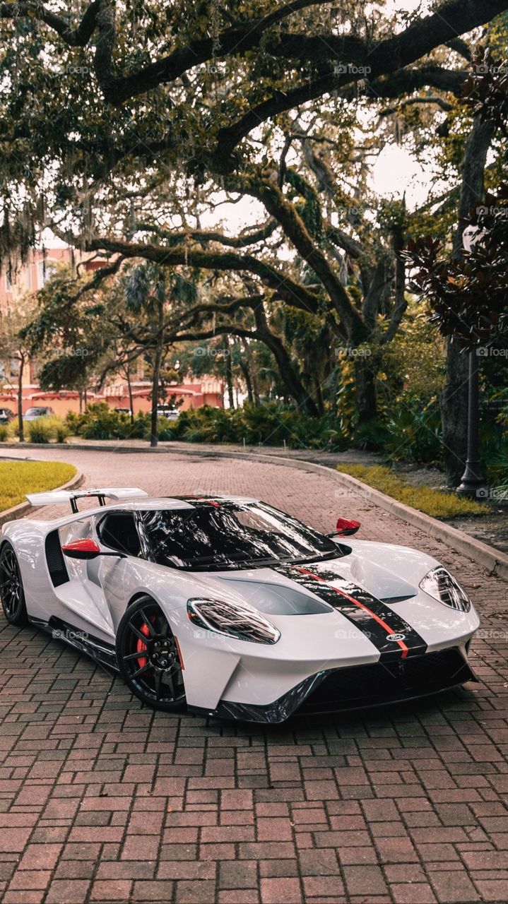 The Sportive Car🥰🥰