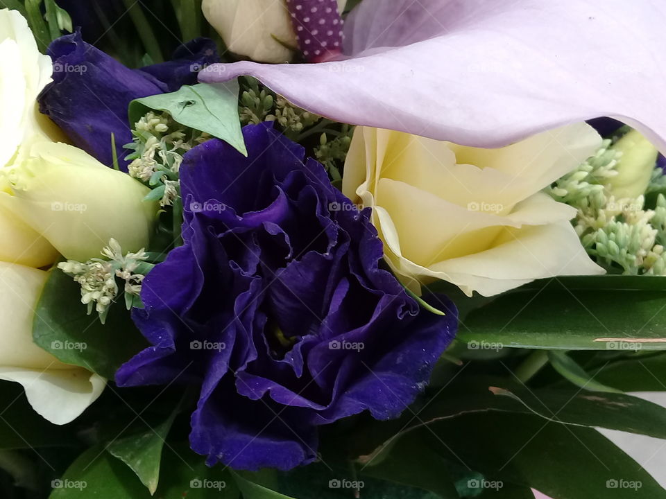 the nature,no filters