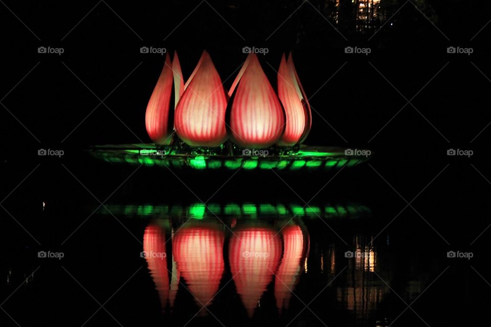 River of Lights - Disney Animal Kingdom